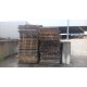 GRATIS af te halen PALLETS 60 x 120 cm